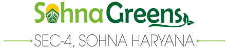 VK Developers Sohna Greens