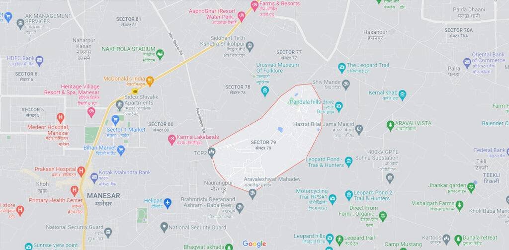smart-world-sector-79-location-map