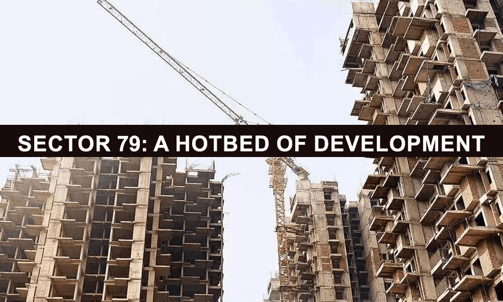 Sector 79 A Hotbed Of Development