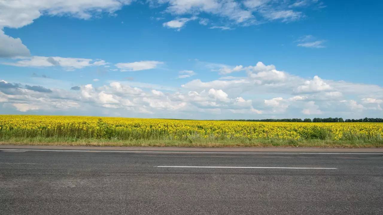 Gurugram Clover-Leaf Linking Sohna Elevated Road, South Peripheral Road Gets In-Principle Approval