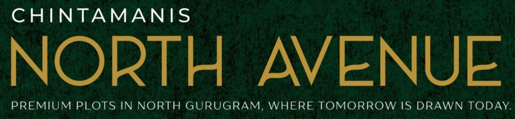 Chintamanis North Avenue Logo