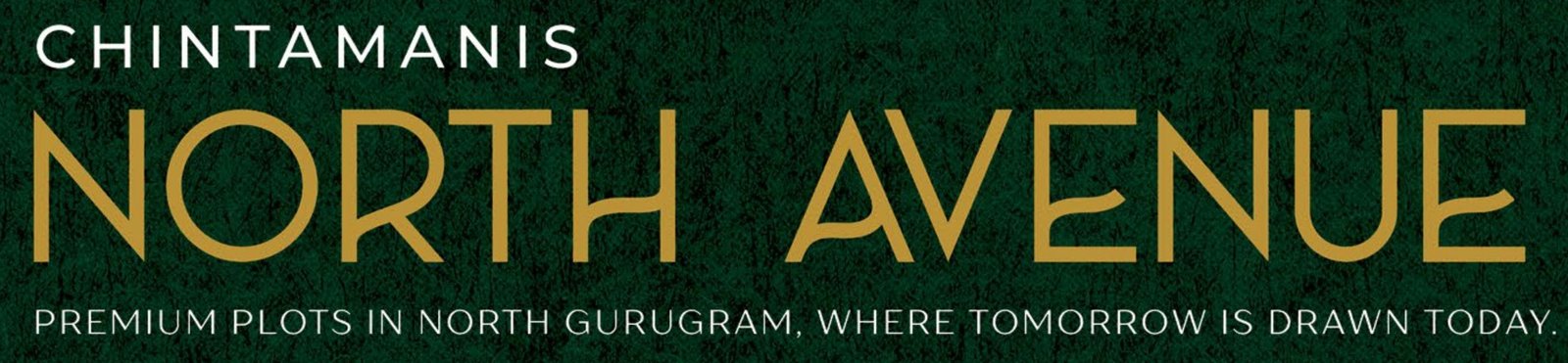 Chintamanis North Avenue Logo