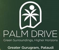 VKS Palm Drive Logo