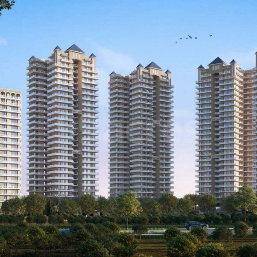 Adore The Select Premia image 2