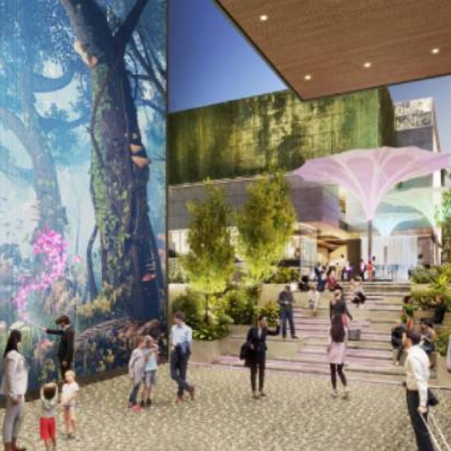 Elan Paradise image 5