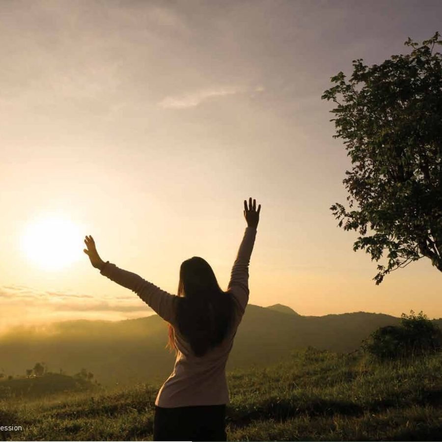 GLF Palm Meadows image 5