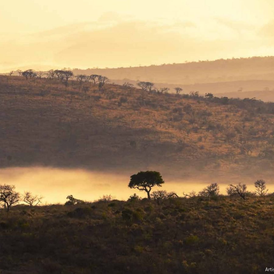 GLF Palm Meadows image 6