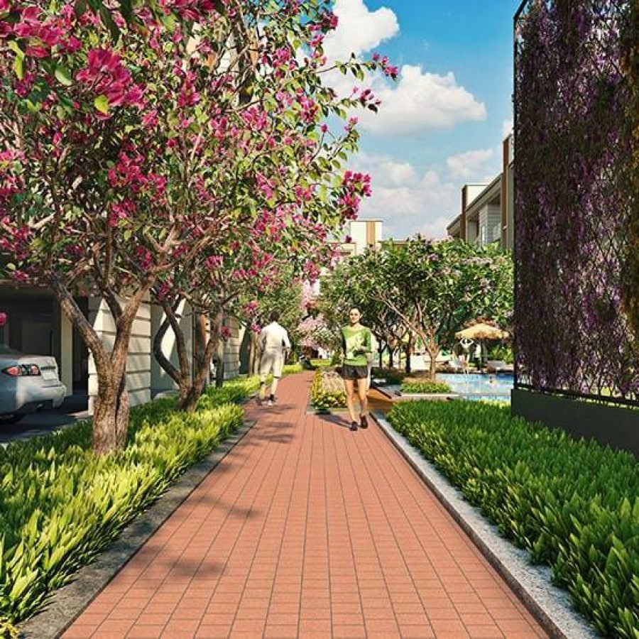 Signature Global City 37D II jogging