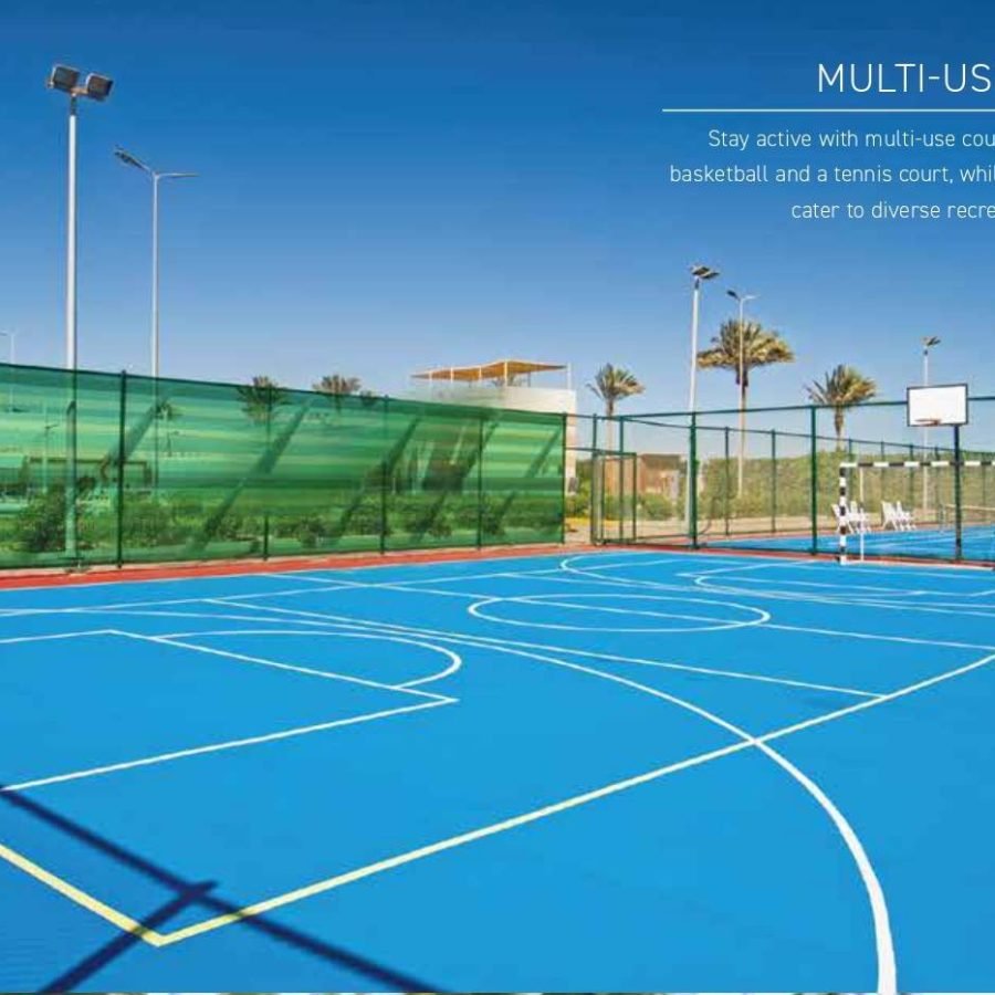Signature Global De-Luxe DXP Multi-Use Court