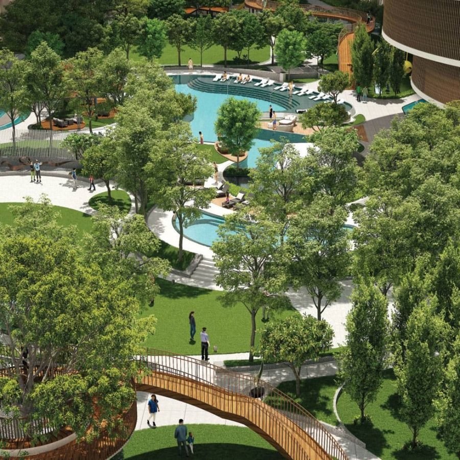 Tulip Monsella Image 10