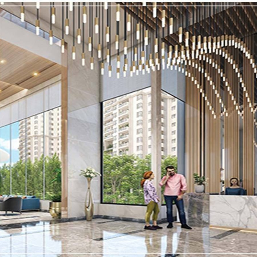 Tulip Monsella Image 2